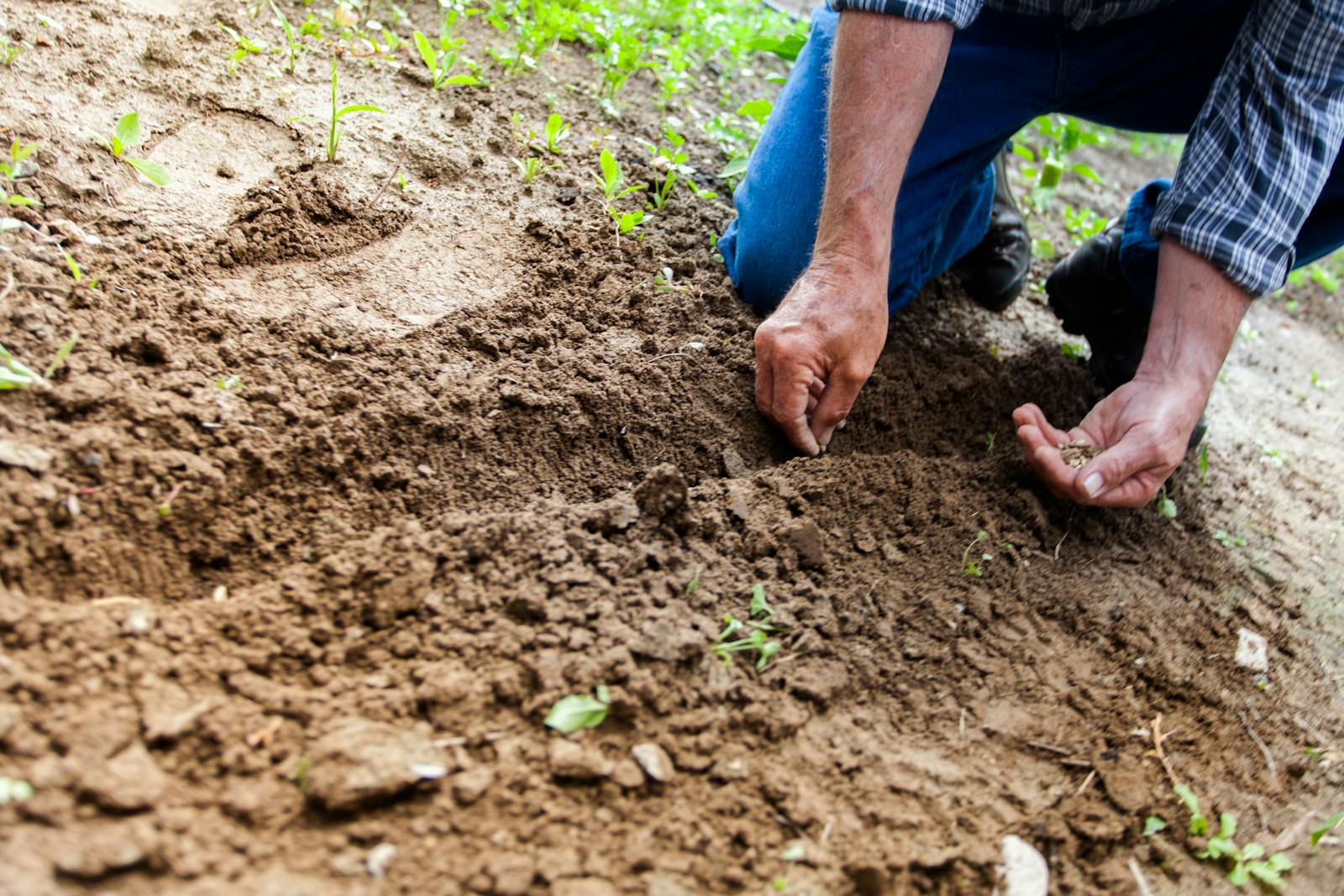 Tuin make-over: Van kale grond naar groene oase in 7 slimme stappen