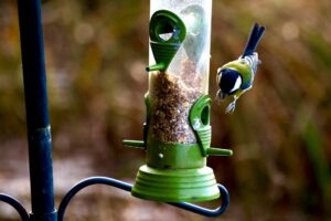 Landing